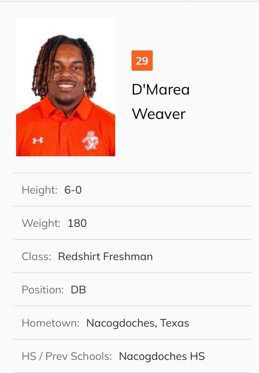 𝙳'𝙼𝚊𝚛𝚎𝚊 𝚆𝚎𝚊𝚟𝚎𝚛 tweet media