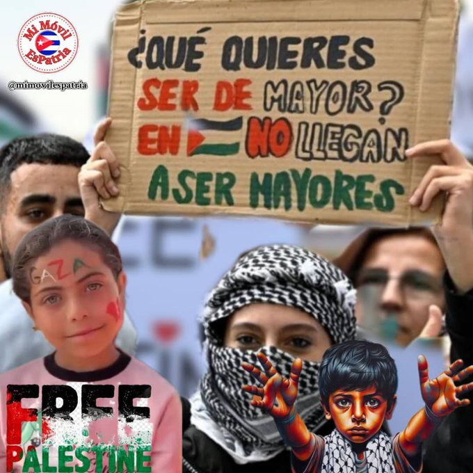 🧐Una triste realidad.  #FreePalestine  #MujeresEnRevolución