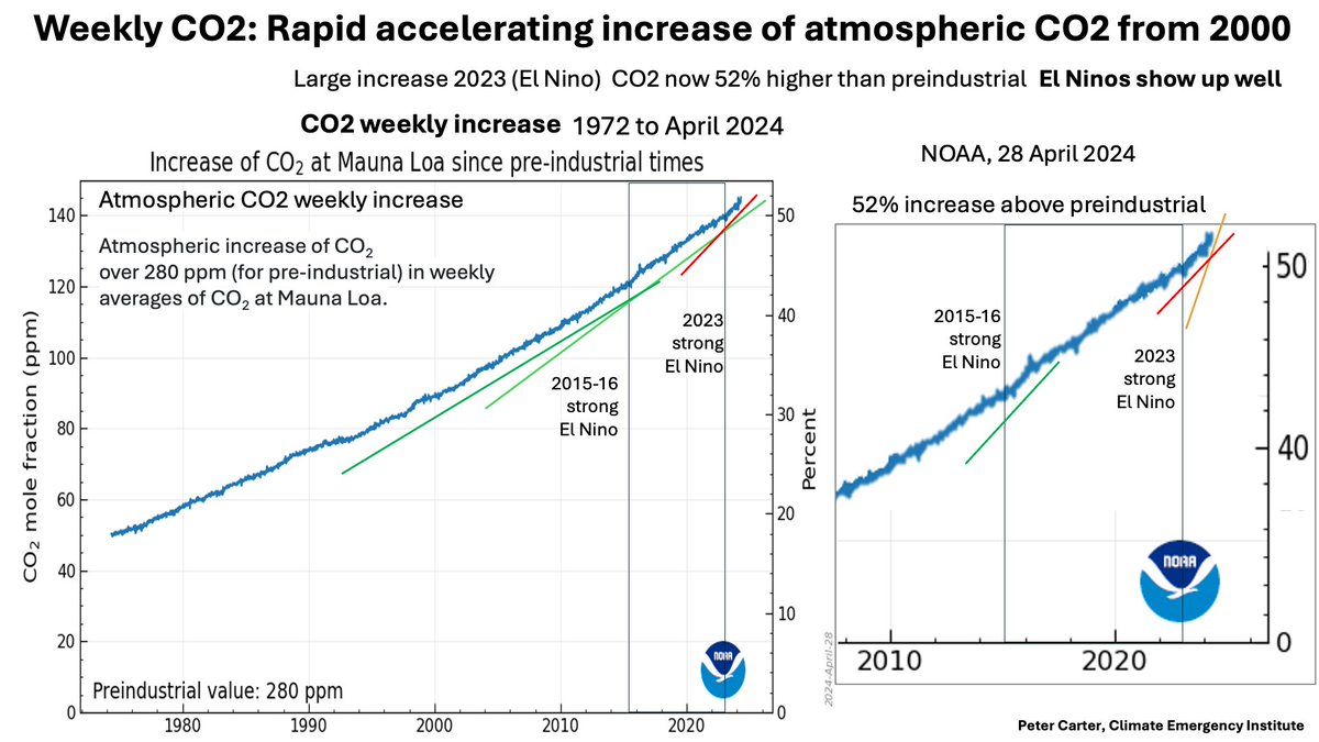 ACCELERATING INCREASE ATMOSPHERIC CO2 28.04.24 Weekly increase CO2 Shows El Ninos well Acceleration clear from 2000 Now 52% higher than pre-industrial CO2 weekly increase NOAA 28 April 2024 gml.noaa.gov/ccgg/trends/we… #CO2 #climatechange #globalwarming