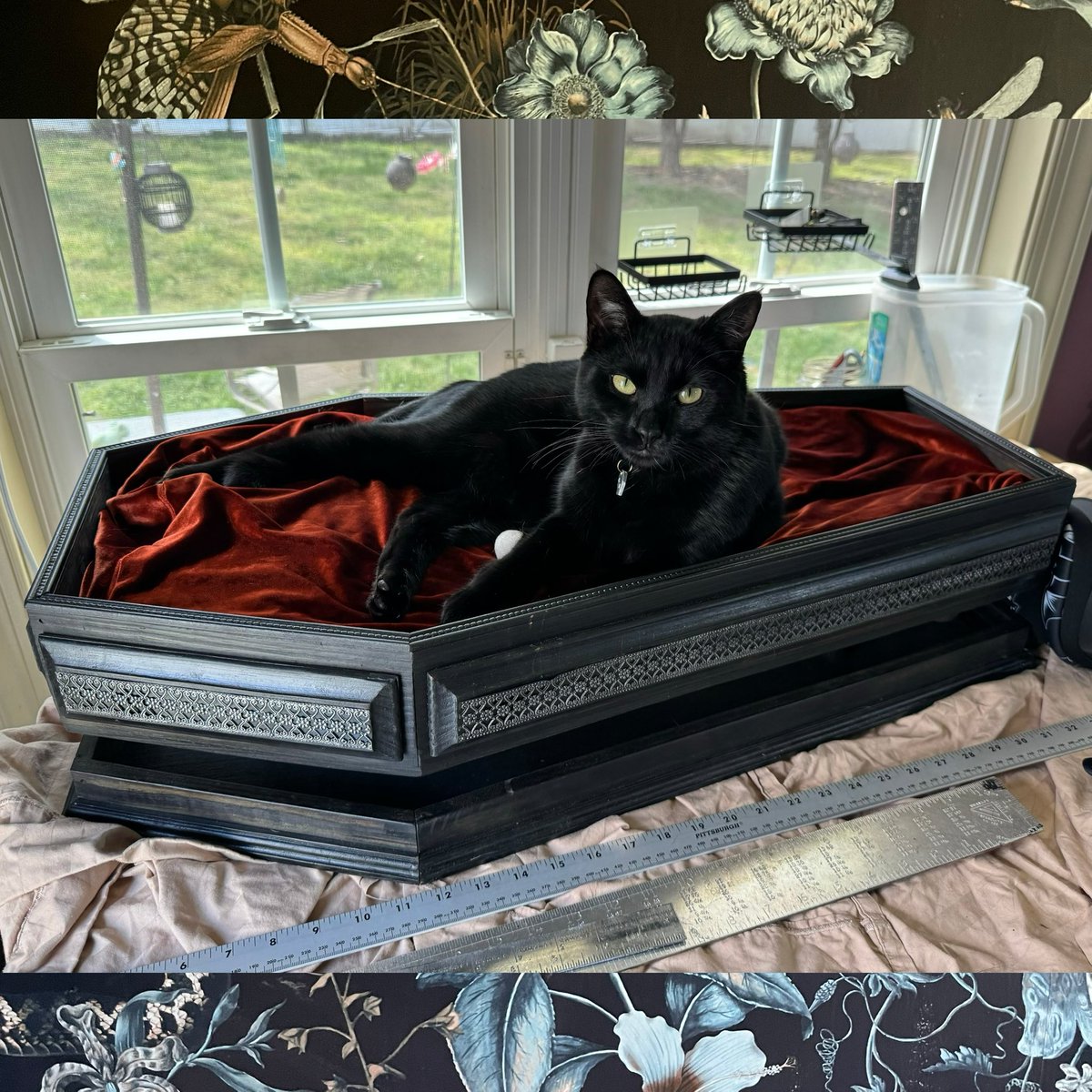 cotie_in_death's tweet photo. He has approved his Grimm Kitty coffin bed ball tray combo. Check out our website for full listings and when you can order. @JUSTBURIED_CO https://t.co/Ga7P6uhWkP