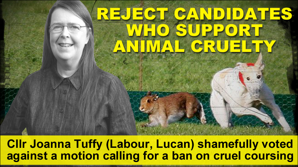 #LE2024 candidate @JoannaTuffy (Labour, South Dublin, #Lucan) shamefully voted against a motion calling for a ban on cruel hare coursing 👎👎 banbloodsports.wordpress.com/2019/04/26/201… #LE24 Reject candidates who support animal cruelty ❌