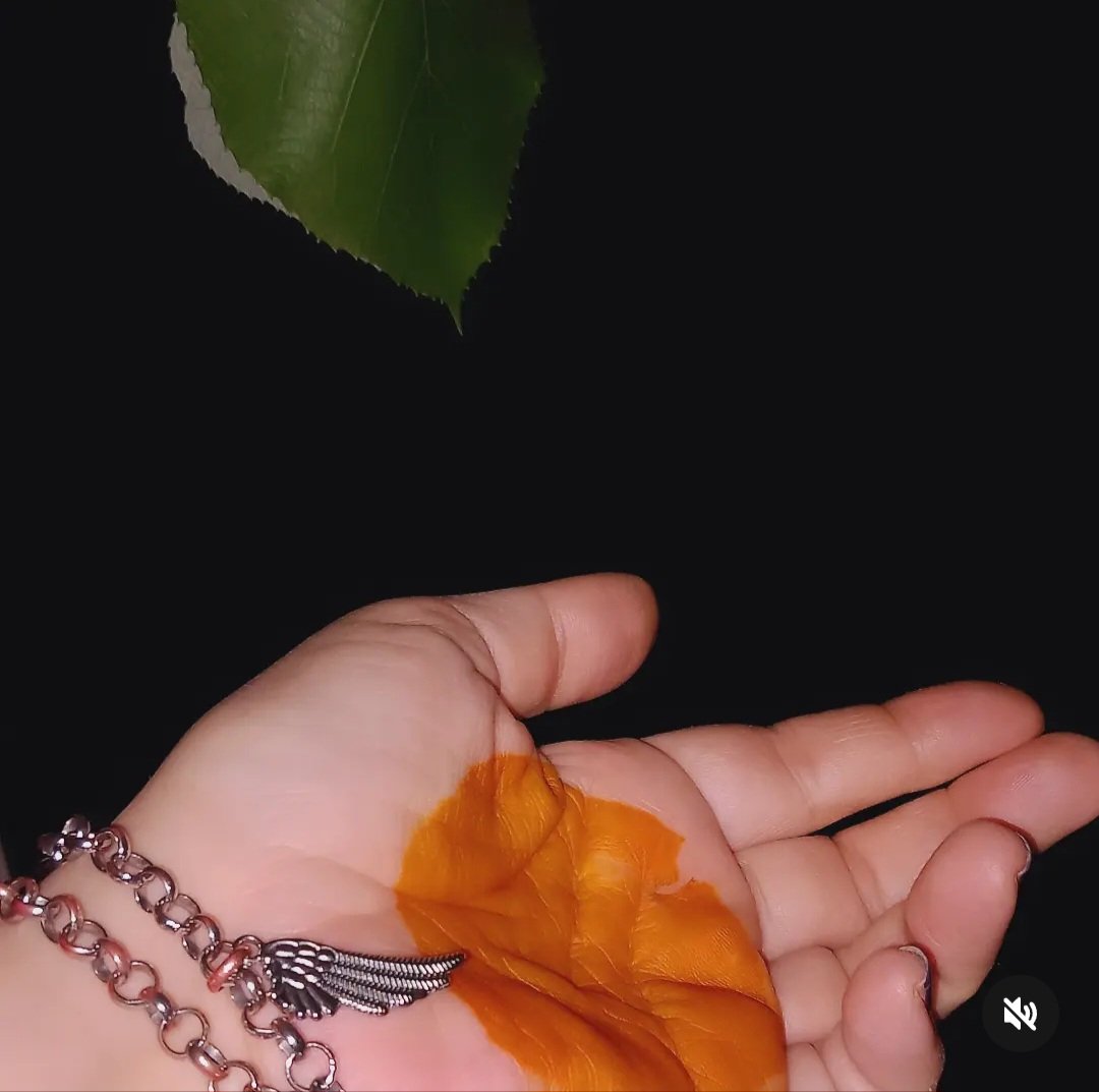gulaysemay's tweet photo. #henna
#formysoul https://t.co/We8vEedJ7r