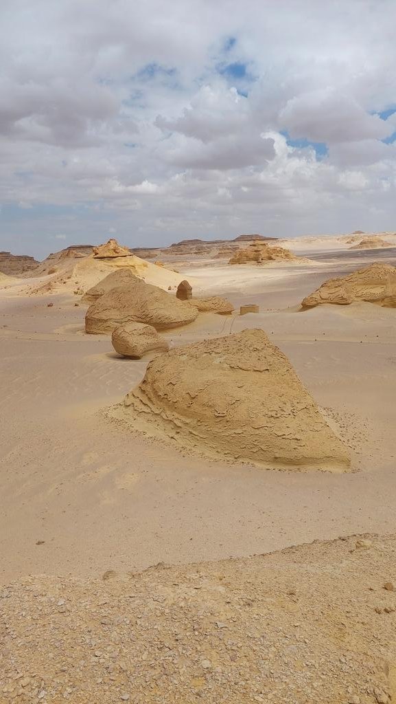 La fantasía arqueológica del Valle de las Ballenas: los fósiles de cetáceos más perfectos están en #Egipto y se pueden ver allí donde los encontraron ¿lo sabíais? losviajesdeali.com/valle-de-las-b…