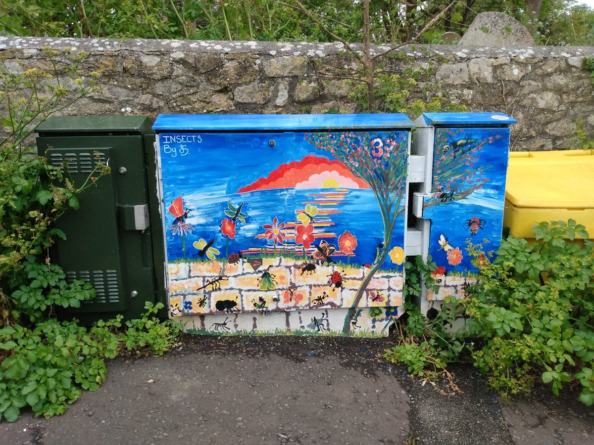 Colourful telecoms box, Wyke Regis, Weymouth #Dorset #StreetArt #StreetFurniture