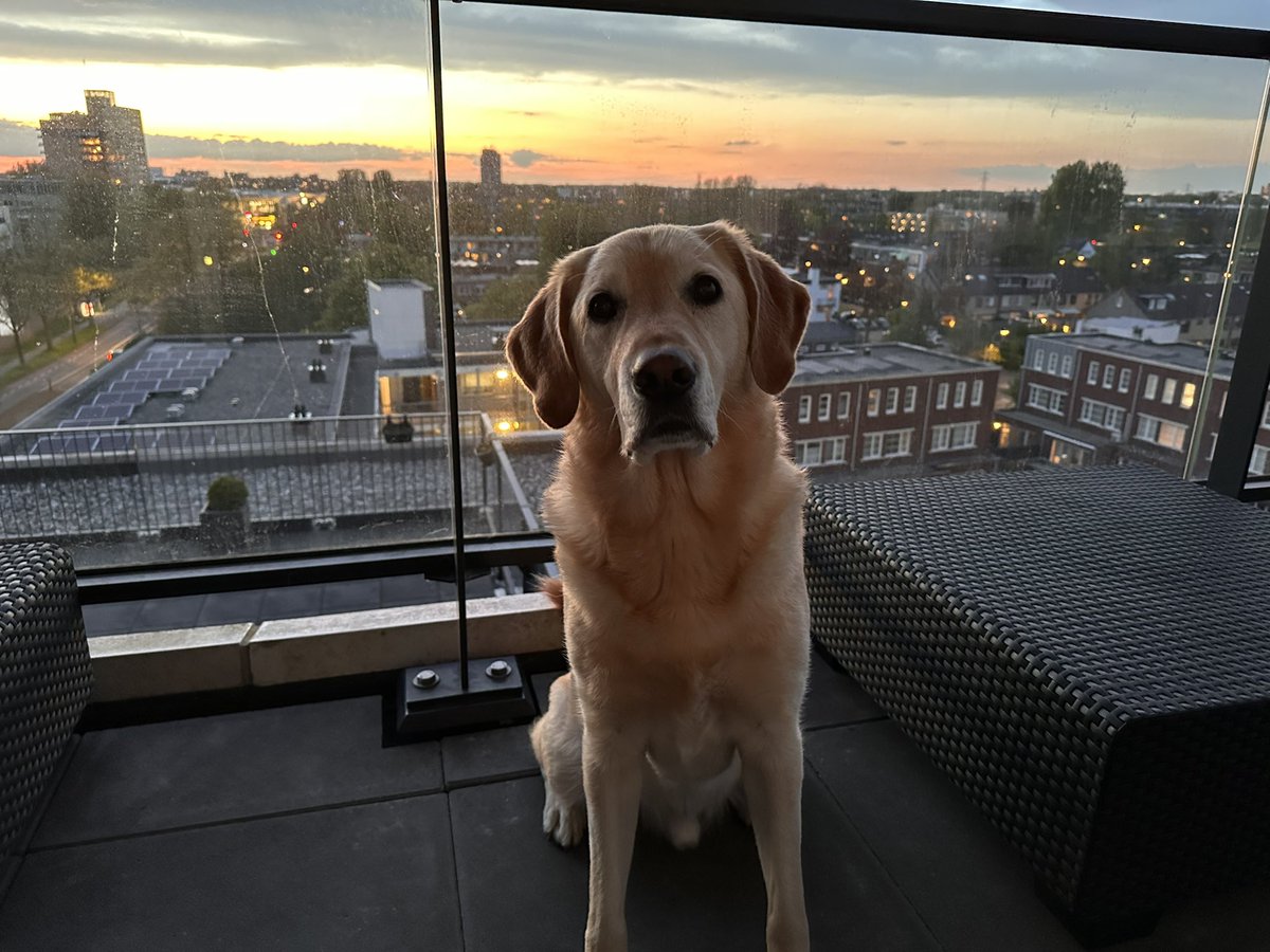 9:30 PM, almost tome to close Twitter. Bossie is making his evening coffee and I am The Guardian Of The Stroopwafels. Goede nacht vrienden! 😘