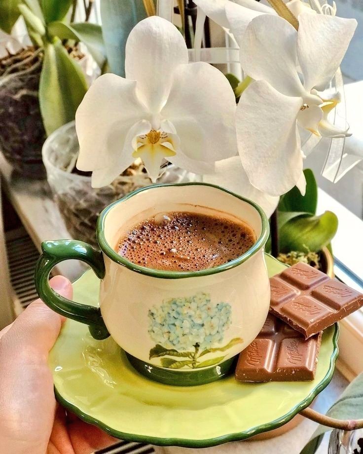 Feliz tarde 🍃💐 #VenezuelaPaísDeEsfuerzoPropio Llegó la hora de disfrutar un rico café ☕️... con el cariño de siempre. @beatriz77748 @gendarmeria53 @rus_ito @EricCue5 @LOISCM3 @mguevara1331 @LOVEKISSNOW009 @PedroPlana04 @MauricioA8969 @CarlonchoGV @_JorgeRamirez @Aittana20