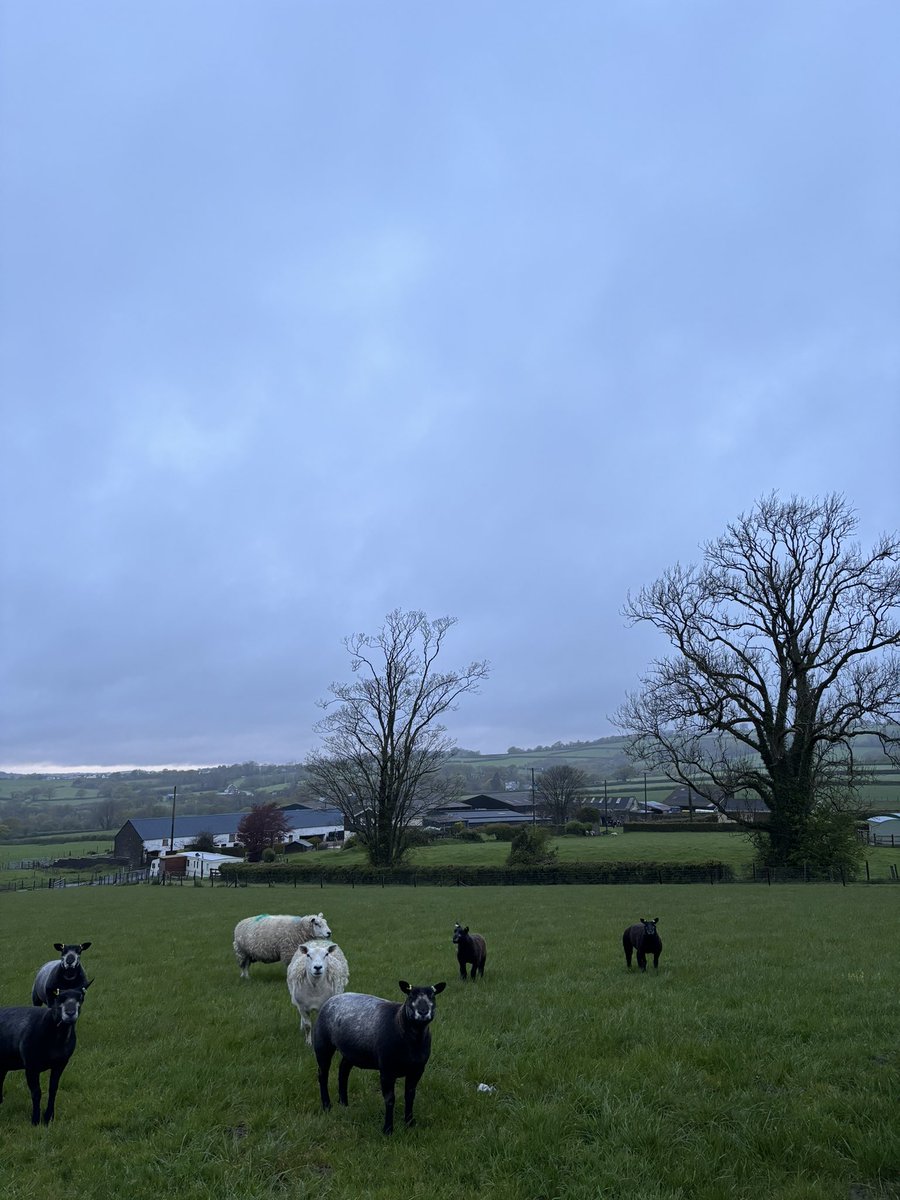 Harry Fuller tweet media