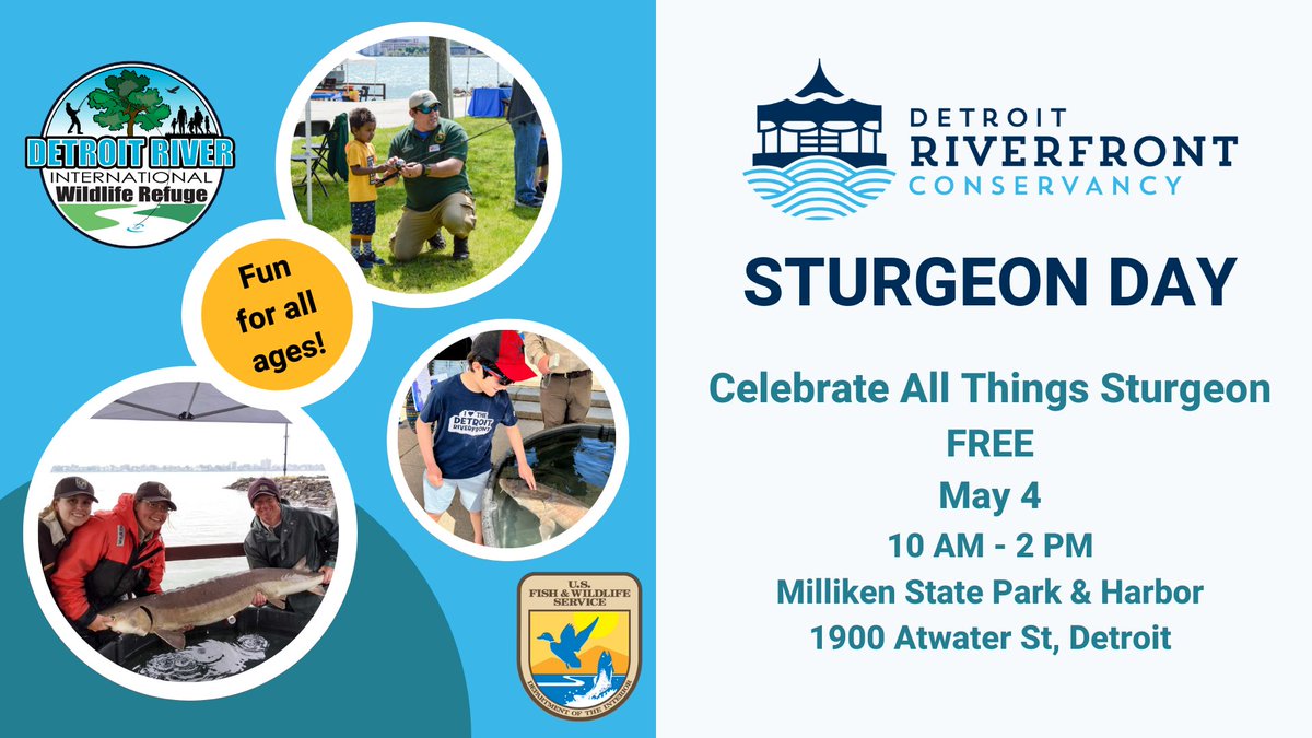 Sturgeon Day is this Saturday, May 4 at Milliken State Park and Harbor! Come see the amazing Lake Sturgeon up close and personal, enjoy fun games and activities, try some tasty food from A Taste Of Motown and more! Register here : detroitriverfront.org/2024-sturgeon-…
