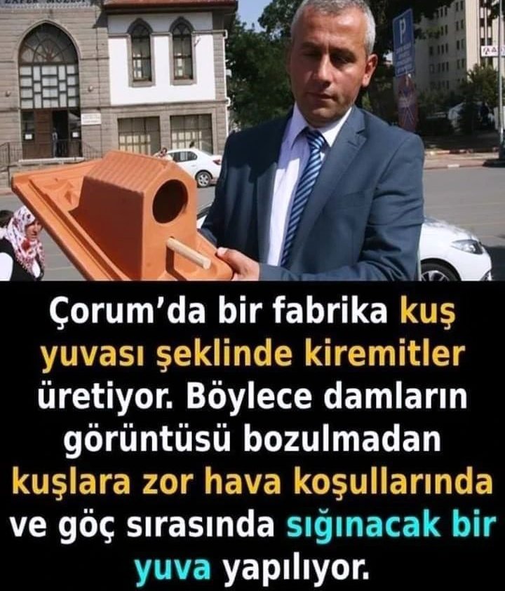 Çorum'da bir fabrika kuş yuvası şeklinde kiremitler üretiyor.🪺 Böylece damların görüntüsü bozulmadan kuşlara zor hava koşullarında ve göç sırasında sığınacak bir yuva yapılıyor.