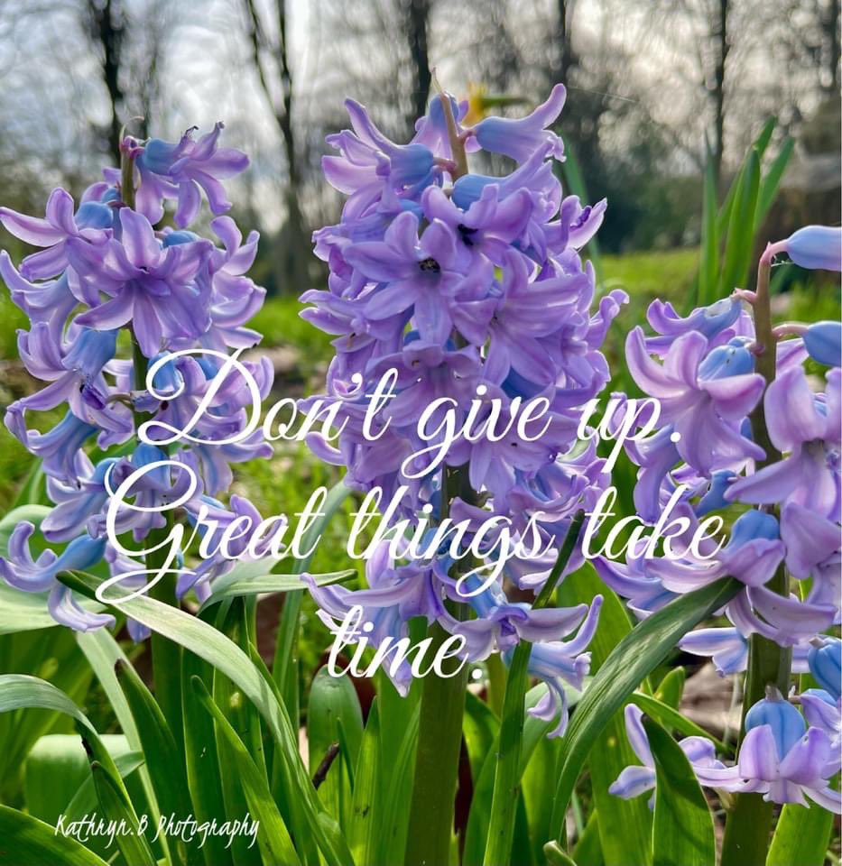 “Don’t give up. Great things take time” #quoteoftheday #photograph #flowers #Hyacinth #flowerphotography #nature #Derbyshire #MHHSBD