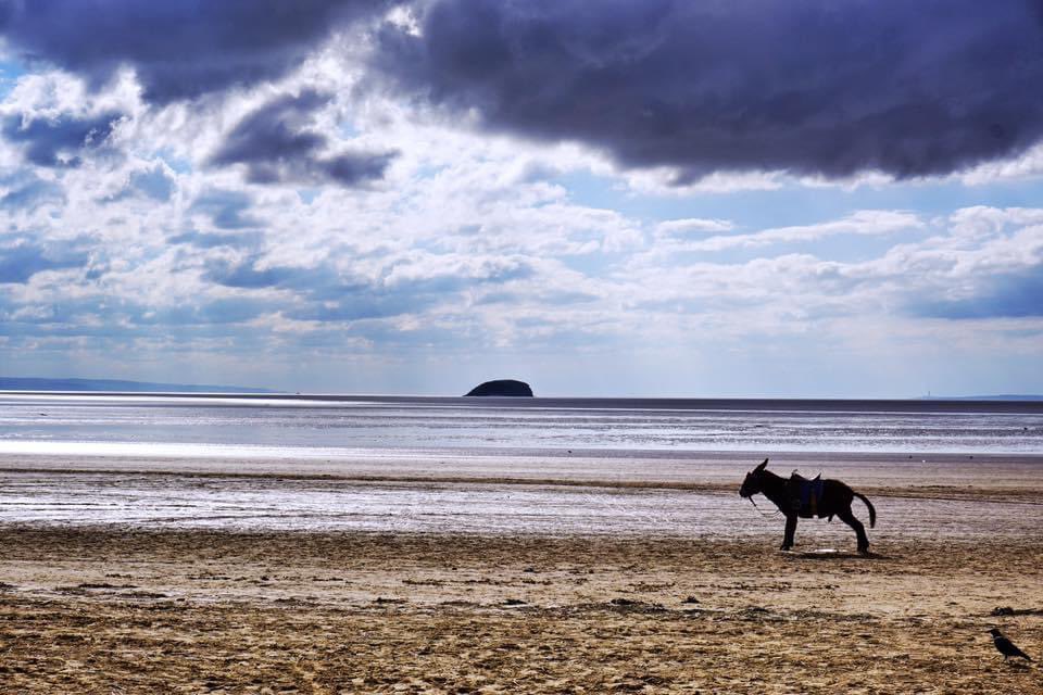 Dramatic clouds ✔️
Stormy horizon ✔️
Sun rays breaking the clouds ✔️
Sandy beach and sea✔️
Donkey casually walks into shot for a piss….😂

#donkey #westonsupermare #weston #beach