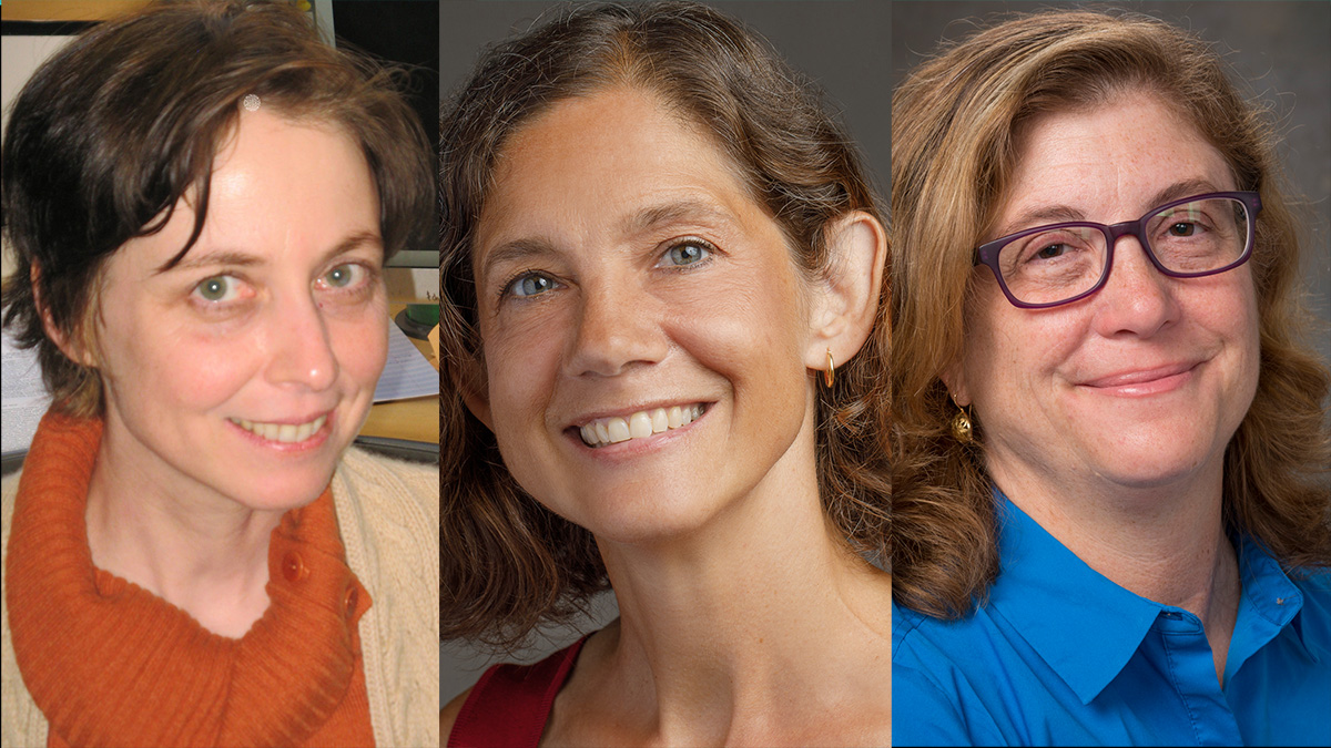 #Congratulations to YSM’s Karin M. Reinisch, PhD, @MarinaP63, and @SusanBaserga, who have been #elected as new members of @americanacad. They join 4 others from @Yale among 250 new members announced this month: medicine.yale.edu/news-article/3…