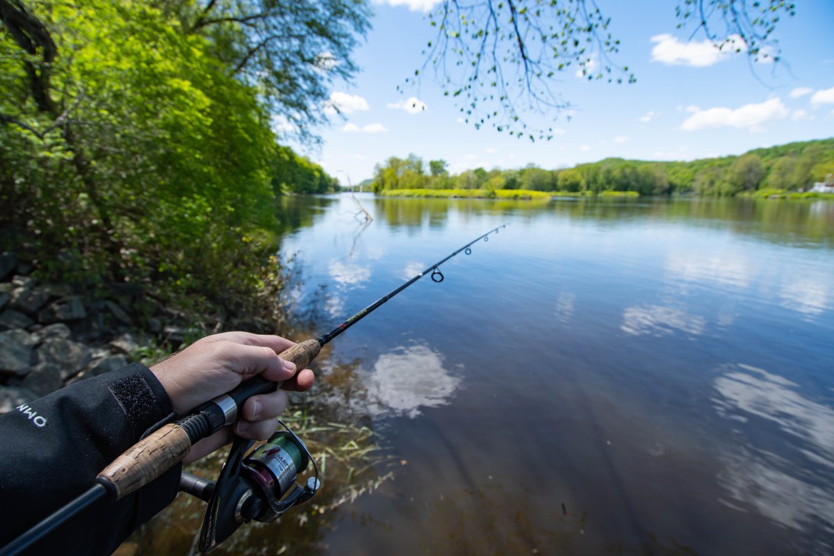 Spring is here. Are you ready for a great fishing experience? Visit us and choose! #water #FishingRod #lake #river #nature #fisherman kit.co/Emyzion/top-9-…