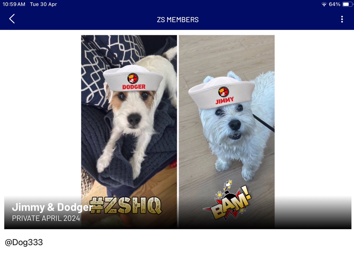 Ahoy Jimmy and Dodger @Dog333 you have been granted access to #ZSHQ TeamApp @ZombieSquadHQ