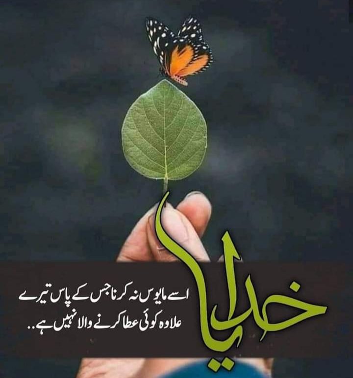 السلام وعلیکم ورحمتہ اللہ وبرکاتہ صبح بخیر ذندگی۔ یا اللہ ہم پہ اپنا کرم فرما۔ ہمارے گناہ معاف فرما ۔ الہی آمین یارب