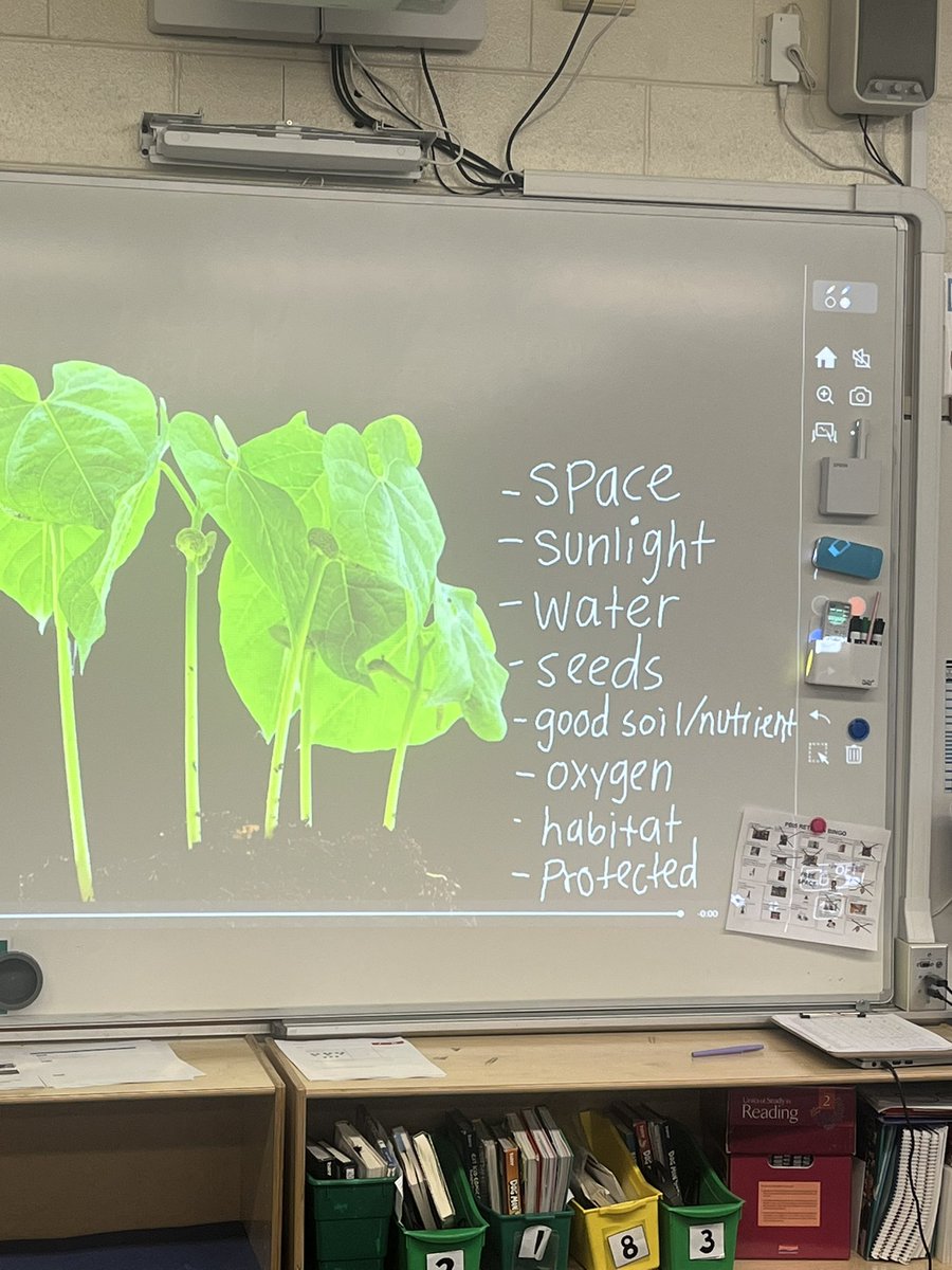 Our second graders dove into the world of plants today! @EastMaine63 #63success