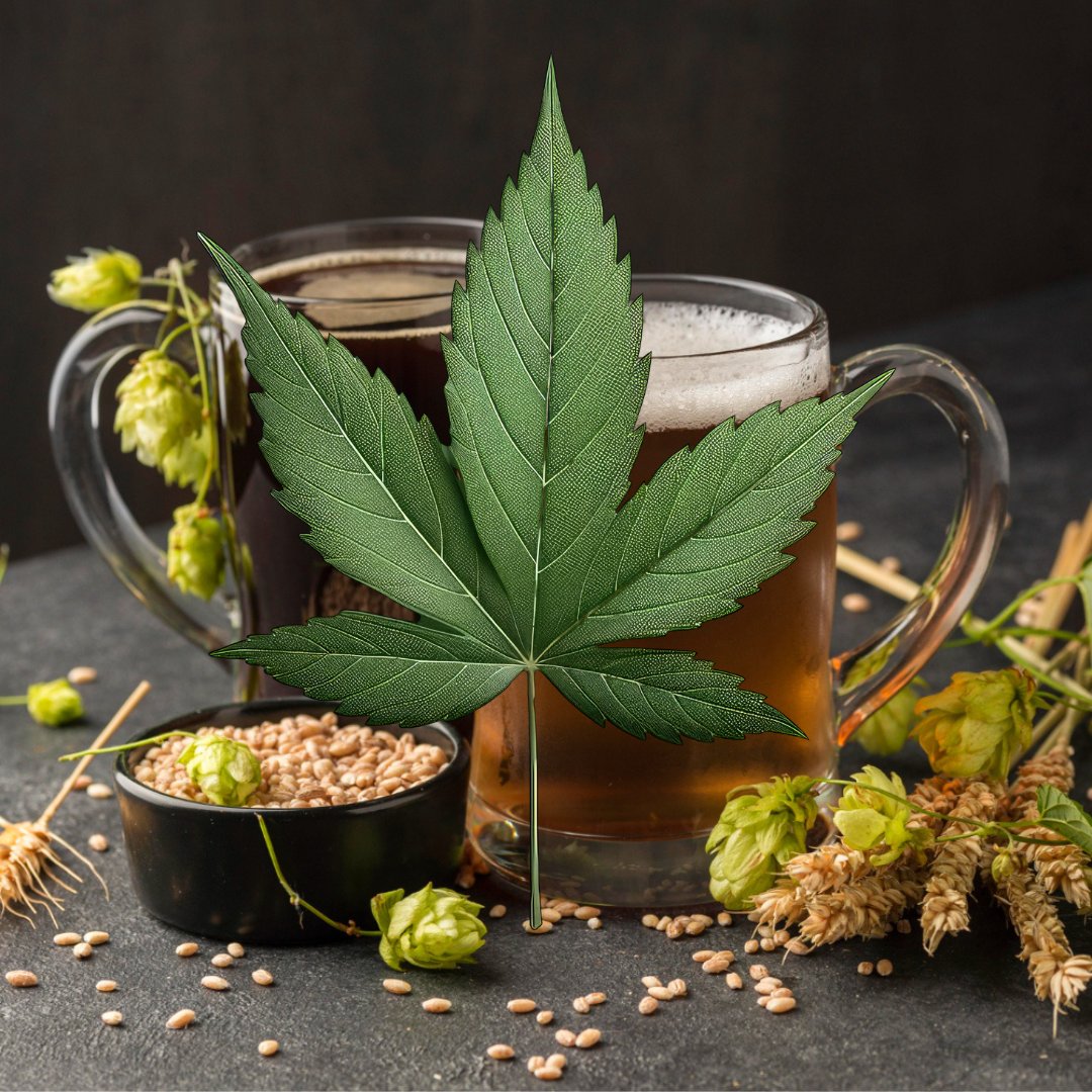 What You Should Know About Cannabis and Alcohol Consumption.

Read more at zurl.co/CboQ 

#acannability
#CannabisEducation
#KnowYourStrain
#CannabisScience
#CannabisResearch
#Illinois
