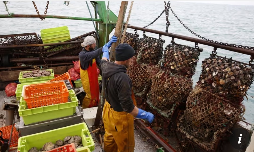 #France launched an official protest after the #UK banned bottom #trawling from parts of its territorial waters last month, with the aim of protecting vulnerable habitats. #France is part of the high ambition coalition for people and nature. theguardian.com/environment/20…