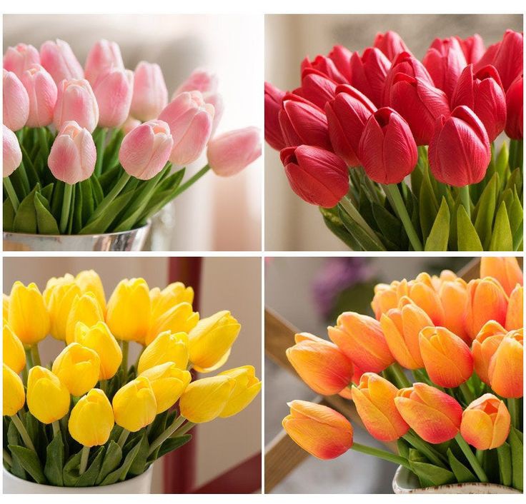 Which colour of tulip steals your heart? 😀