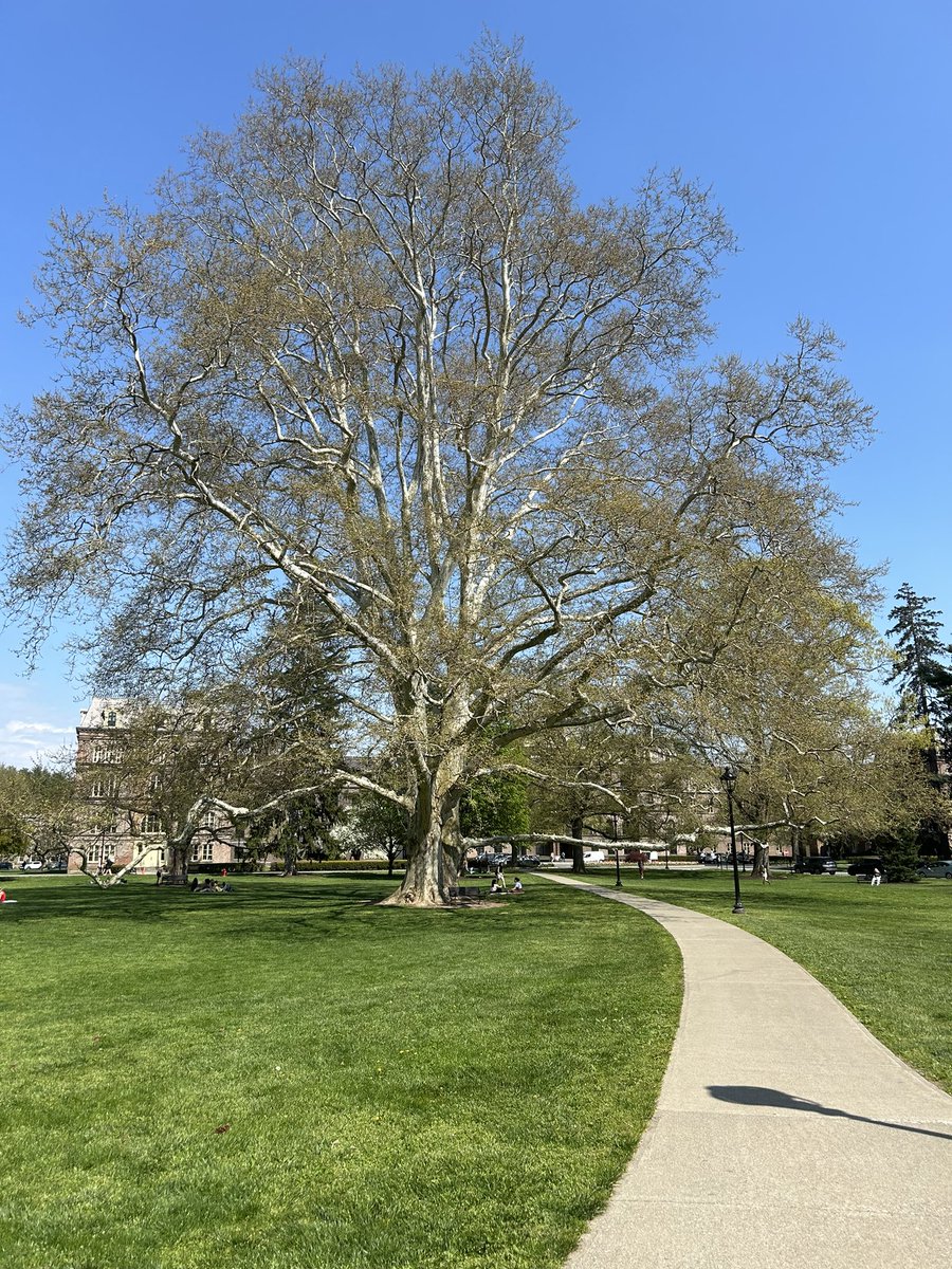 Another college tour with my teen — such a beautiful campus!