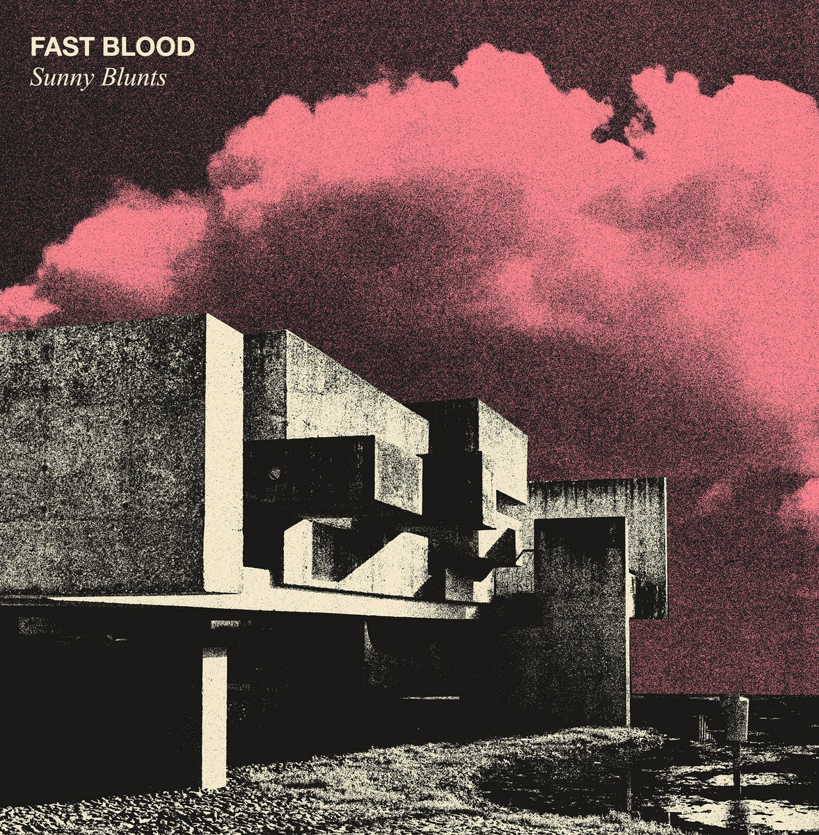 Fast Bloodはアルバム'Sunny Blunts'を5月3日にリリースすると発表しました
fastblood.bandcamp.com/album/sunny-bl…