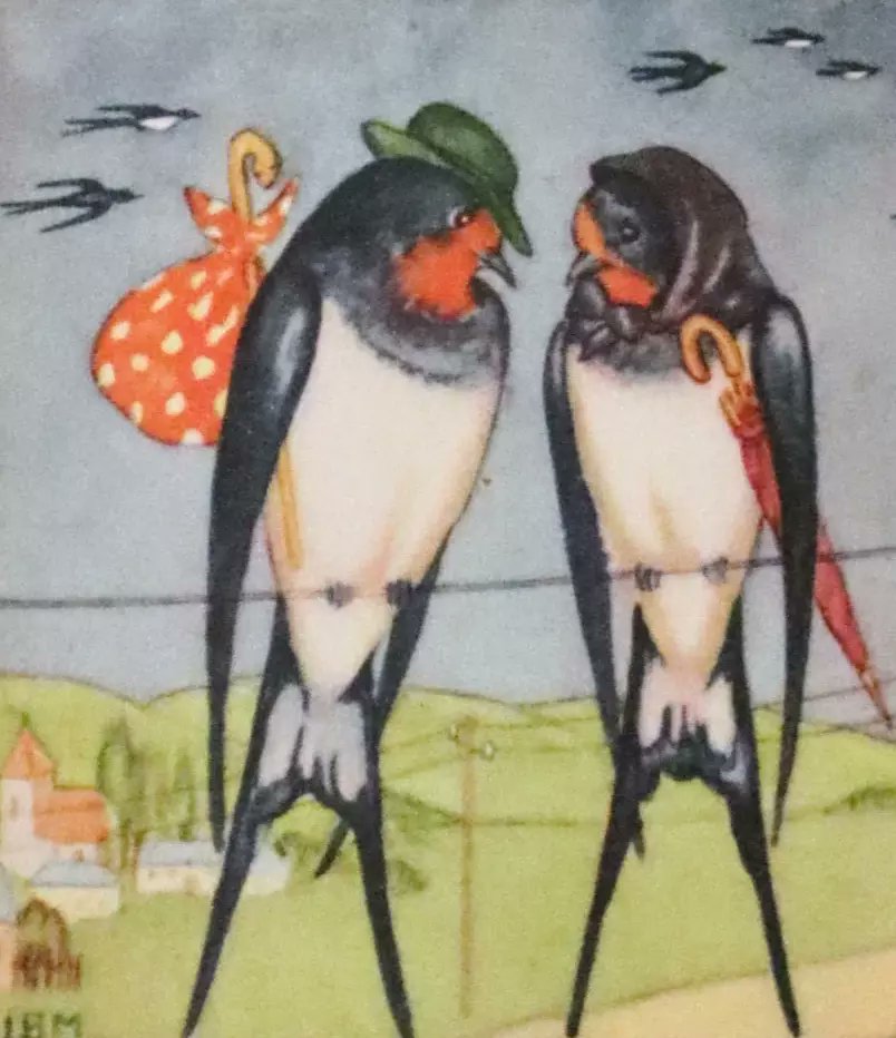 Discover the charm of 'The Birds' Book, illustrated by Ida Bohatta Morpurgo (1942 First US Edition). mflibra.com/products/1942-… #BookWithASoul #MFLIBRA #OwnAPieceOfHistory #BirdWatching #IllustratedBooks #RareBooks