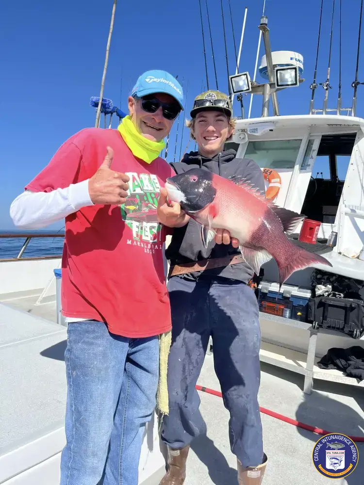 Coral Sea 3/4 Day Wrap Up Fish Report Mon Apr 29, 2024 976-tuna.com/posts/234912 #coralsea #santabarbaralanding #sheephead #whitefish #rockfish #fish #fishing #fishingtrip #oceanfishing #socalfishing #fishingtrip #goodtimes #livebait #saltlife #saltwater #tasty