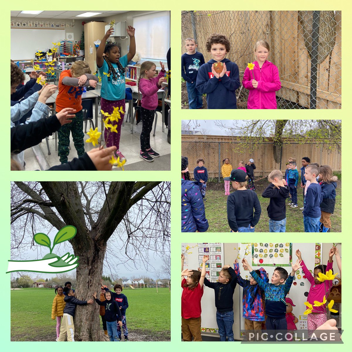 Today Jan Sherman took the Gr. 2’s on a walk where they listened to all the nature sounds with both their ears and their hearts. They picked a tree that they loved and connected with , and sang some songs of thanks. #ConnectingWithNature