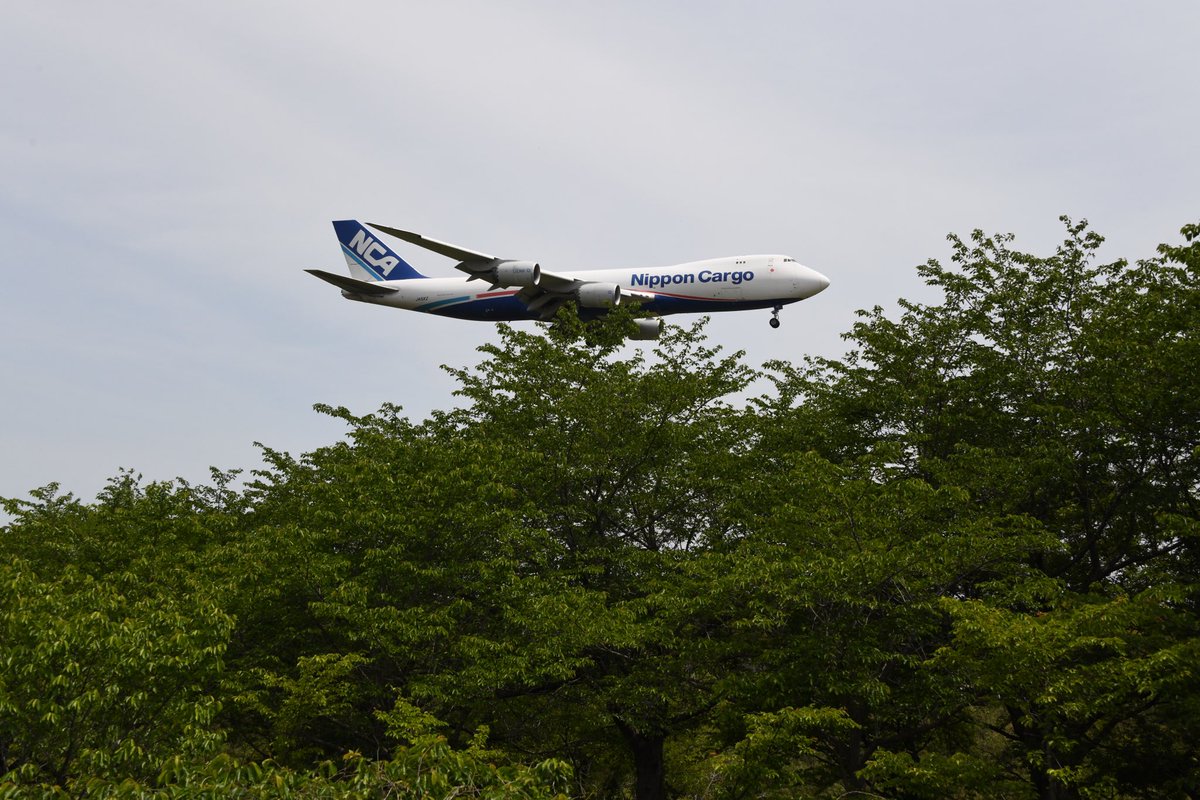 2024/04/29
成田国際空港に着陸する飛行機
成田市さくらの山公園
NCA 航空機/ボーイング747/ジャンボ機