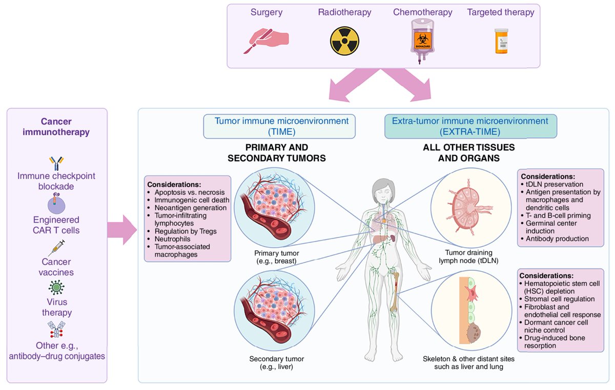 Read a Special Commentary from the April issue— Chemotherapy and the Extra-tumor Immune Microenvironment: EXTRA-TIME, by @LabPhan, K. Weilbaecher, R. Aft, P. Croucher, & @c_chaffer. bit.ly/4dmhDDW @GarvanInstitute @UNSW @UNSWMedicine @UNSWScience @WUSTLmed @WashUSurgery