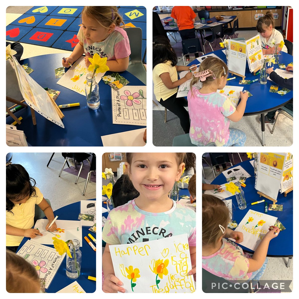 Bringing a bit of nature into the classroom for representational art. Which parts of the plant can you label? ⁦@MicheleMcGrat16⁩ ⁦@alcdsb_mich⁩ ⁦@msekinderland⁩ ⁦@mrsmcintyre1m⁩ ⁦@orellana_ivett⁩ ⁦@MmeJulieBell⁩ ⁦@CPinto_ALCDSB⁩