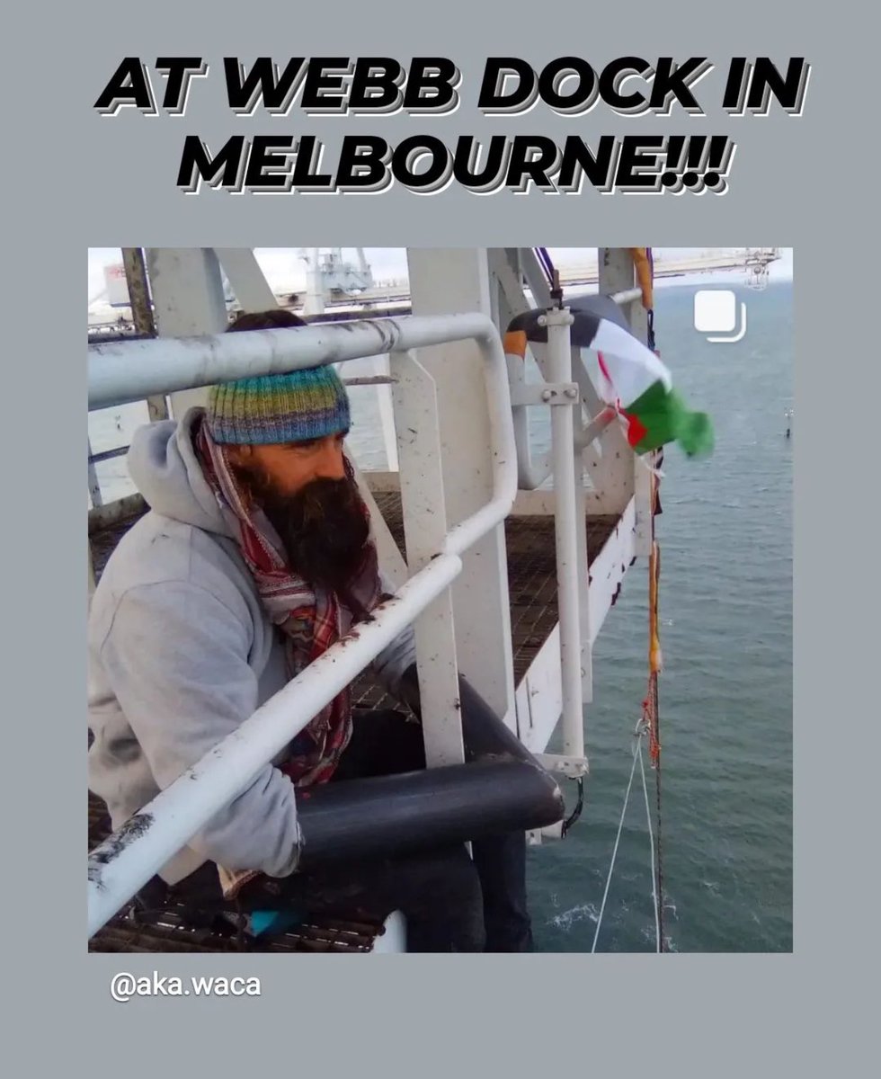 akaWACA's tweet photo. All Israeli ships are cancelled! Down tools 4 Palestine! 12 pro Palestine activists remain on cranes at the WEBB DOCK - VICT in Naarm. They have been kicked on and suspended off two cranes since 7am stopping a ZIM ship from docking! #StopArmingIsrael #FreePalestine #escalate4gaza https://t.co/y3FZQqEGDf