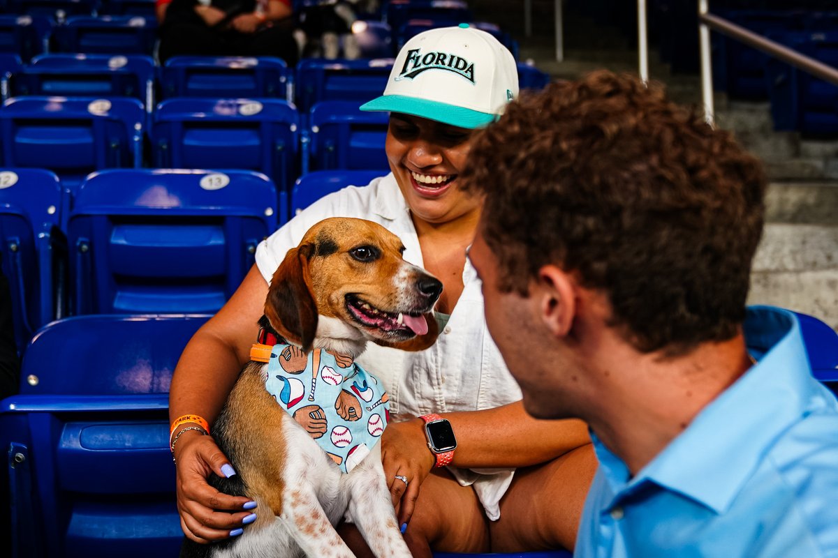 Can we get a dog, @Marlins? 🥹 See you at the next Bark at the Park presented by @TitosVodka Monday, May 20th: marlins.com/tix #HomeOfBeisbol