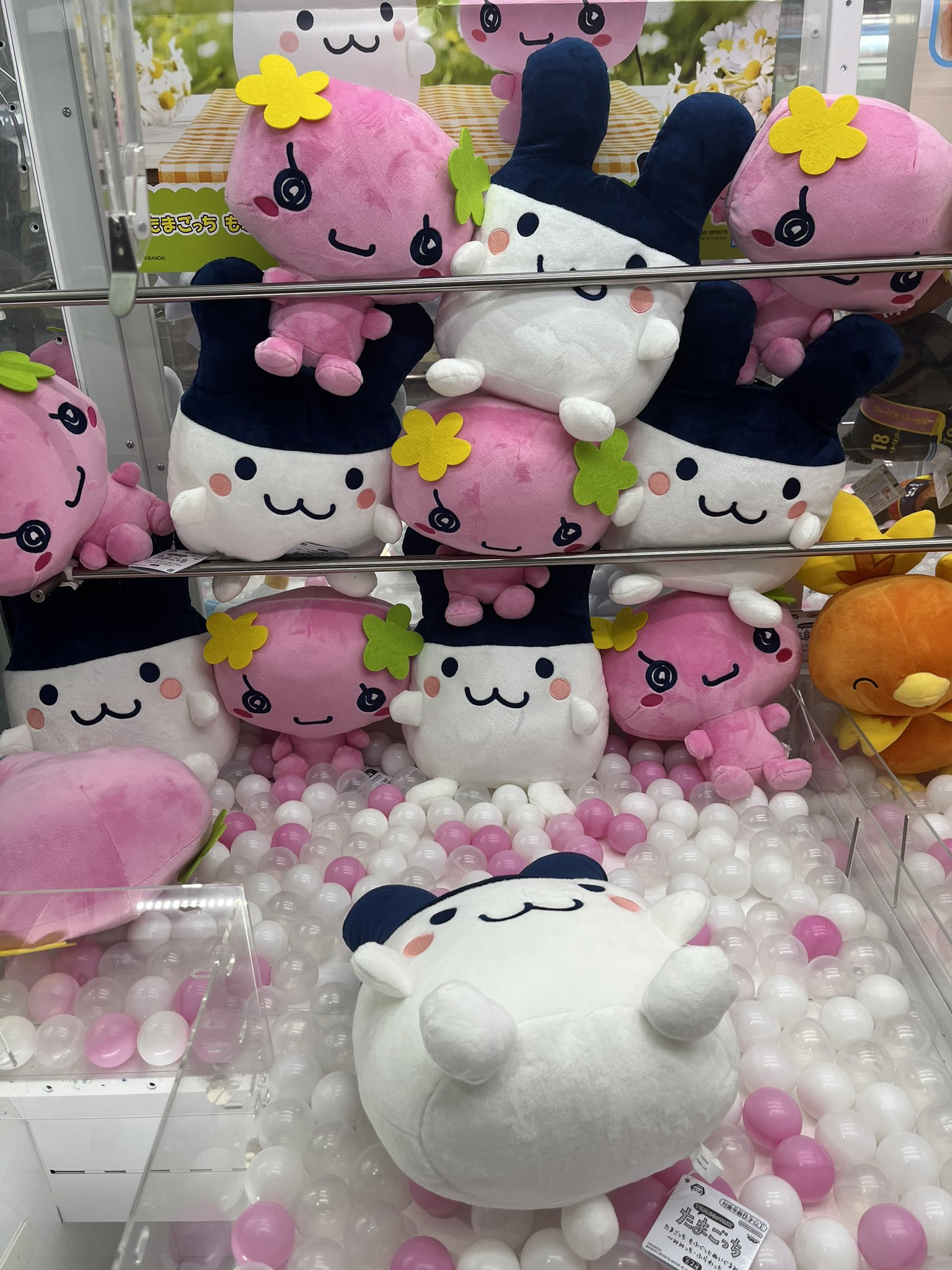 パレパレ田宮店 on X: パレパレ田宮店 on X: