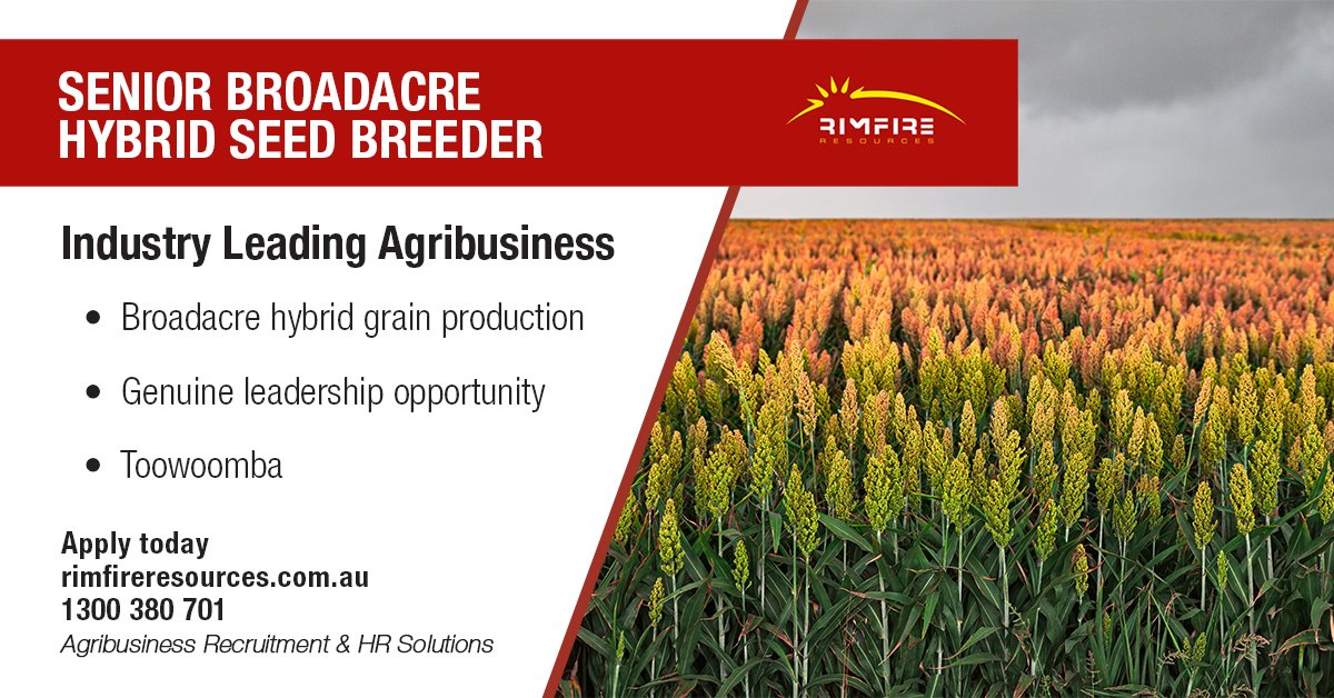 Exciting opportunity to lead Advanta's Australian Sorghum breeding program to ensure the development & commercialisation of hybrid Sorghum varieties.

Apply today: adr.to/havuaai

#agronomy #advanta #agriculture #agribusiness #agjobs #jobs #rimfireresources