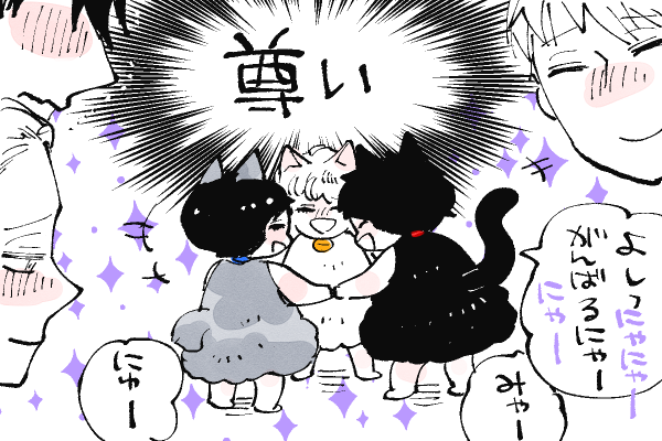 🐱キラキラにゃんこ生活
✨✨✨TOUTOI✨✨✨
(土佐山田くんは愛しさが決壊して卒倒しそうなのでまともに見れてません🤣) 