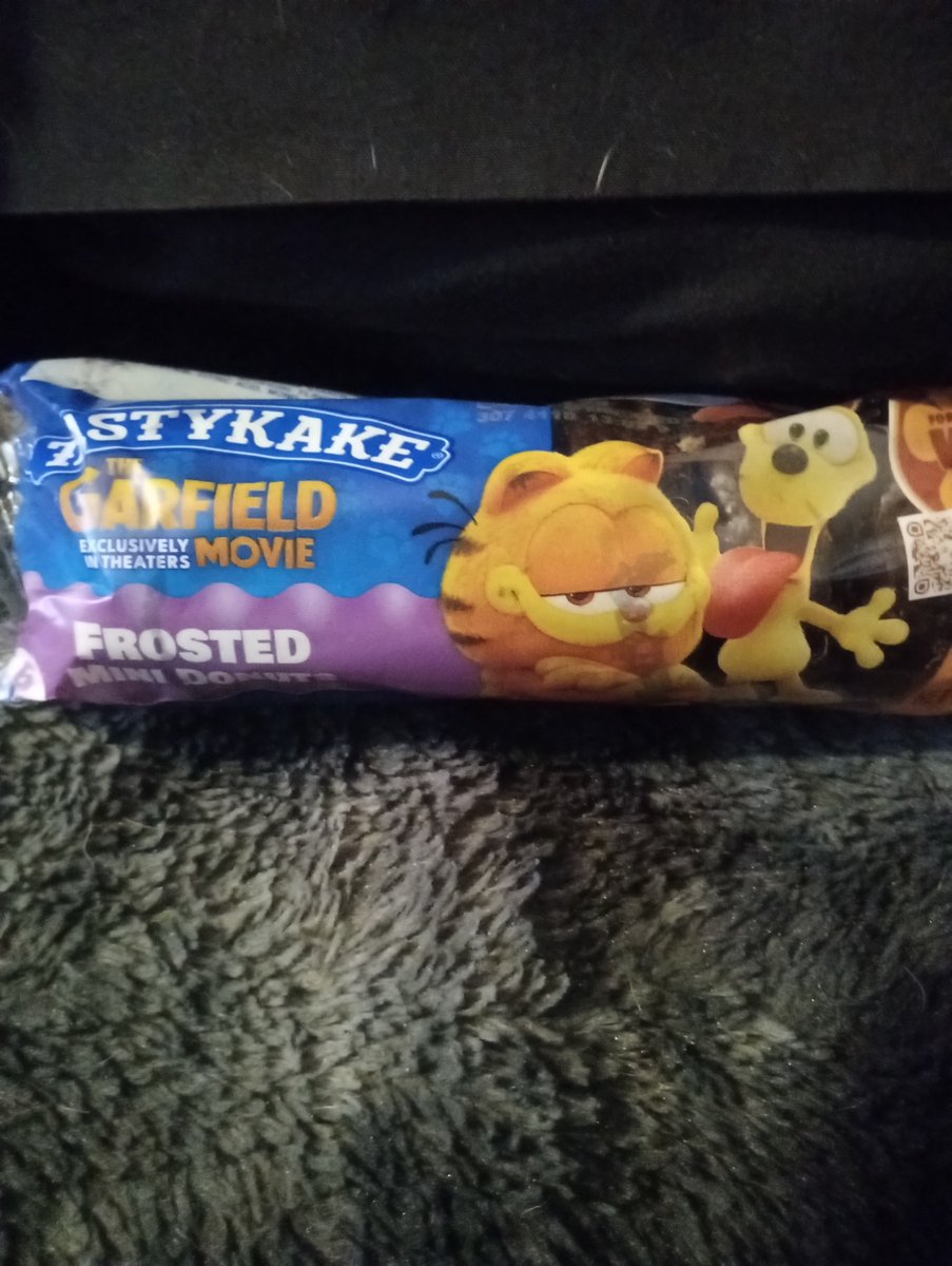 Hey, @YourFriendMicah! I found these Garfield Movie Tastykake Frosted Mini Donuts At My Local Dollar General! What do you think?