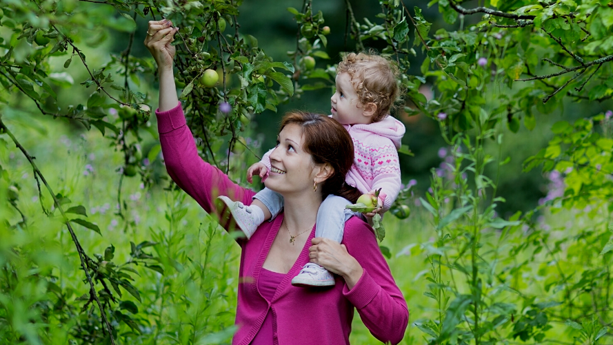 Unlock the Secrets of Sustainable Gardening at the 'Food Forest Foundations' Workshop at greengate! Learn how to grow food for your family!

Saturday, May 18th, 9:00 AM – 4:30 PM
Instructor: Carmen Lamoureux @urbanfarmyyc

DETAILS HERE 👉 urbanfarmschool.ca/events/food-fo… #yycEvents #YYC