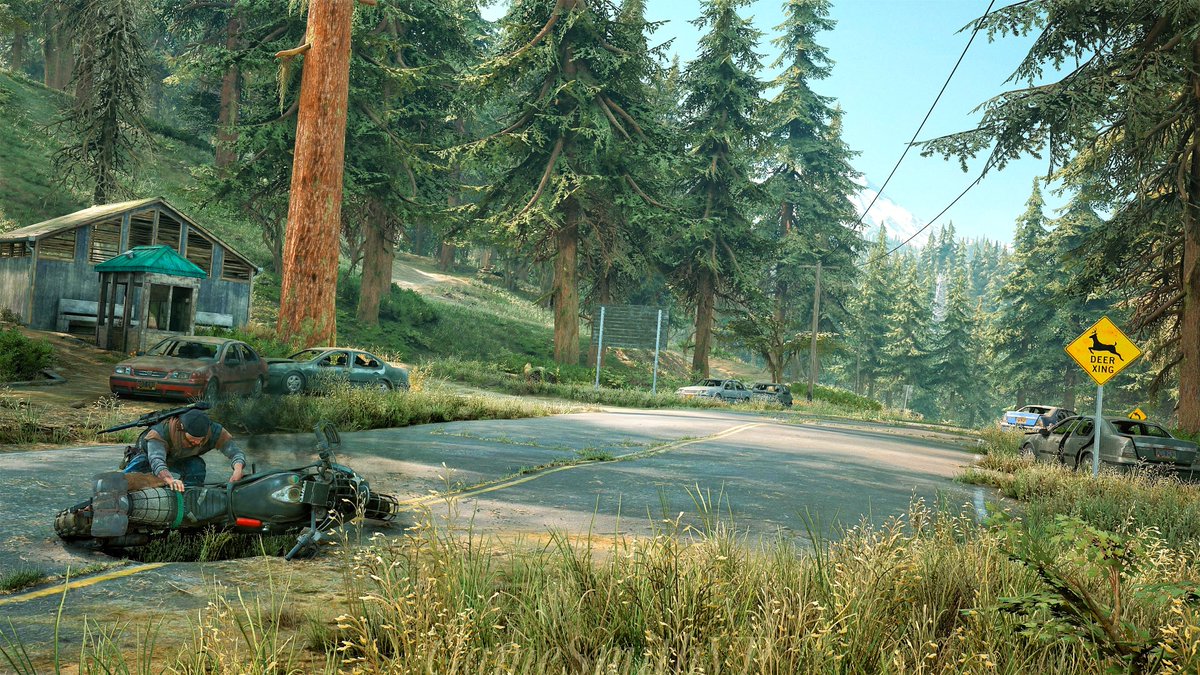 #DaysGone 🤍