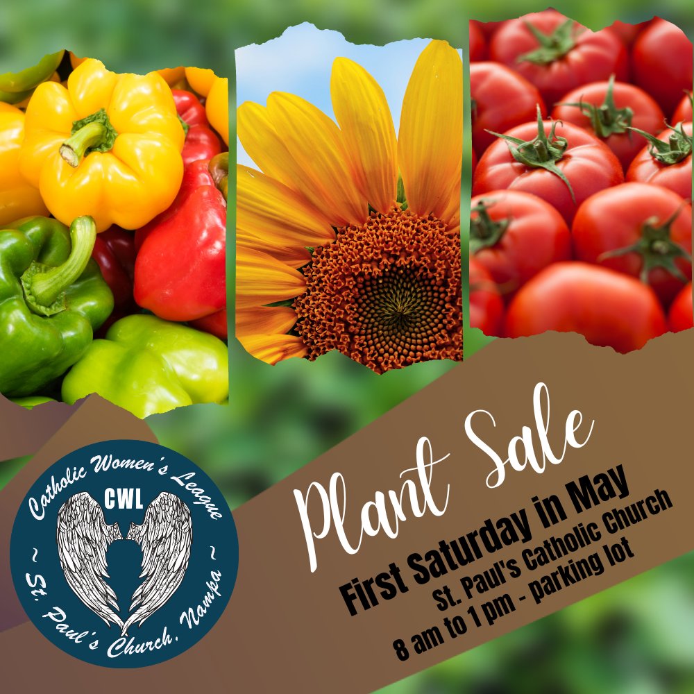If you missed out on the plant sale last Saturday, you will need to check out the plants this Saturday, May 4 from 9am-1pm in the parking lot of St. Paul's Catholic Church, 510 W Roosevelt Ave, Nampa, ID 83651. ~dlc
#2cMasterGardeners #PlantSale