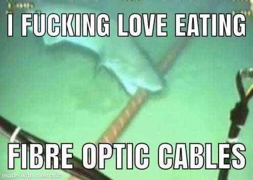 I love eating Fibre optic Cables