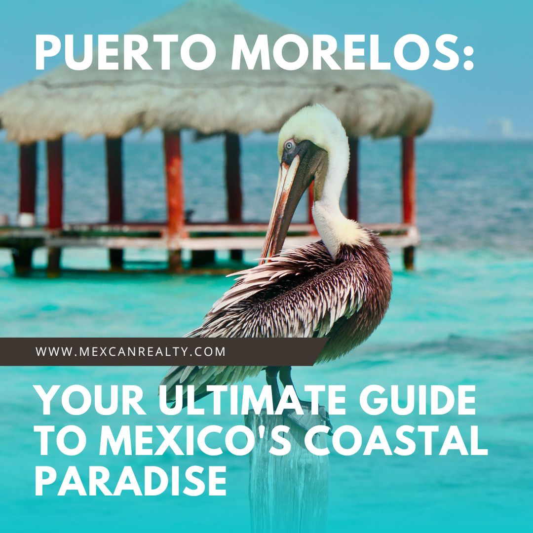 Puerto Morelos: Your Ultimate Guide to Mexico's Coastal Paradise

Read here: mexcanrealty.com/blog/puerto-mo…

#MexicanRealEstate #MexicanProperty #CanadianProperty #MexicanVacationHome #RealEstate #RealEstateInvestment #PropertyInvestment #InvestmentProperty #RealEstateInvestor