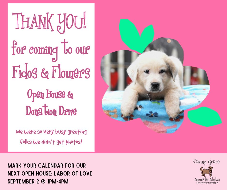 Big THANK YOU to all who came out to our Fidos & Flowers Open House! About 200 folks attended, many dogs found new families, we had amazing volunteers & generous donors! Next Open House is 9/2, 1-4pm! #SavingGraceNC #SGEvent #markcalendar #bethankful