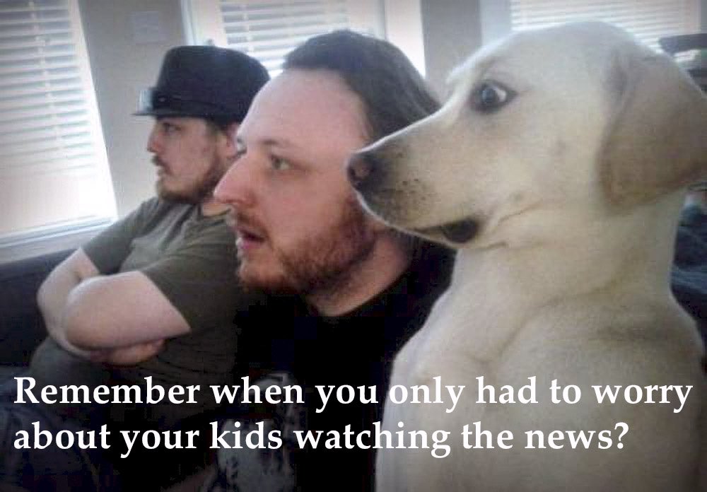 Mark J. Terrill tweet media