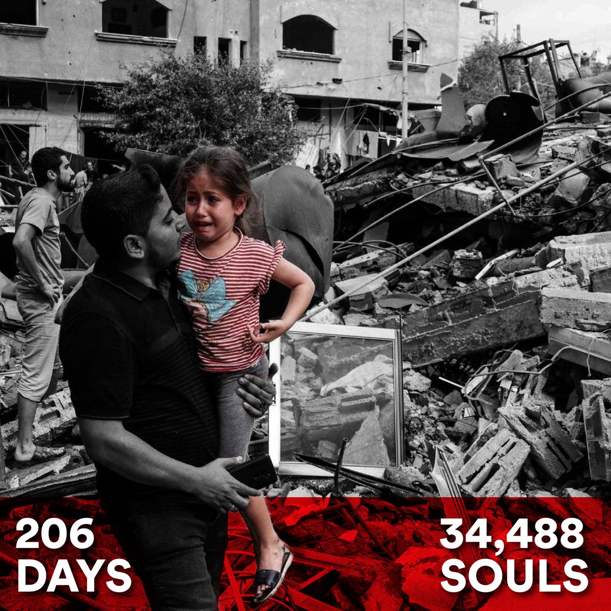 206 Days of Genocide

#gaza #genocide #freedom #Palestine #savegaza #justice #justicematters #icj #gazaunderattak #gazastarving #news #war #children #women #innocent #internationalcourtofjustice #unrwa #Rafah