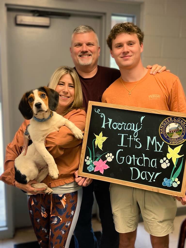It's National Adopt a Shelter Pet Day! Join us in celebrating by opening your heart and home to a lovable pet in need. 🎉🏠🐾  

Hanover County Animal Control and Shelter has an amazing selection of pets waiting for their forever homes ➡ bit.ly/3JwcH1Q  🐶🐱

#HanoverVA