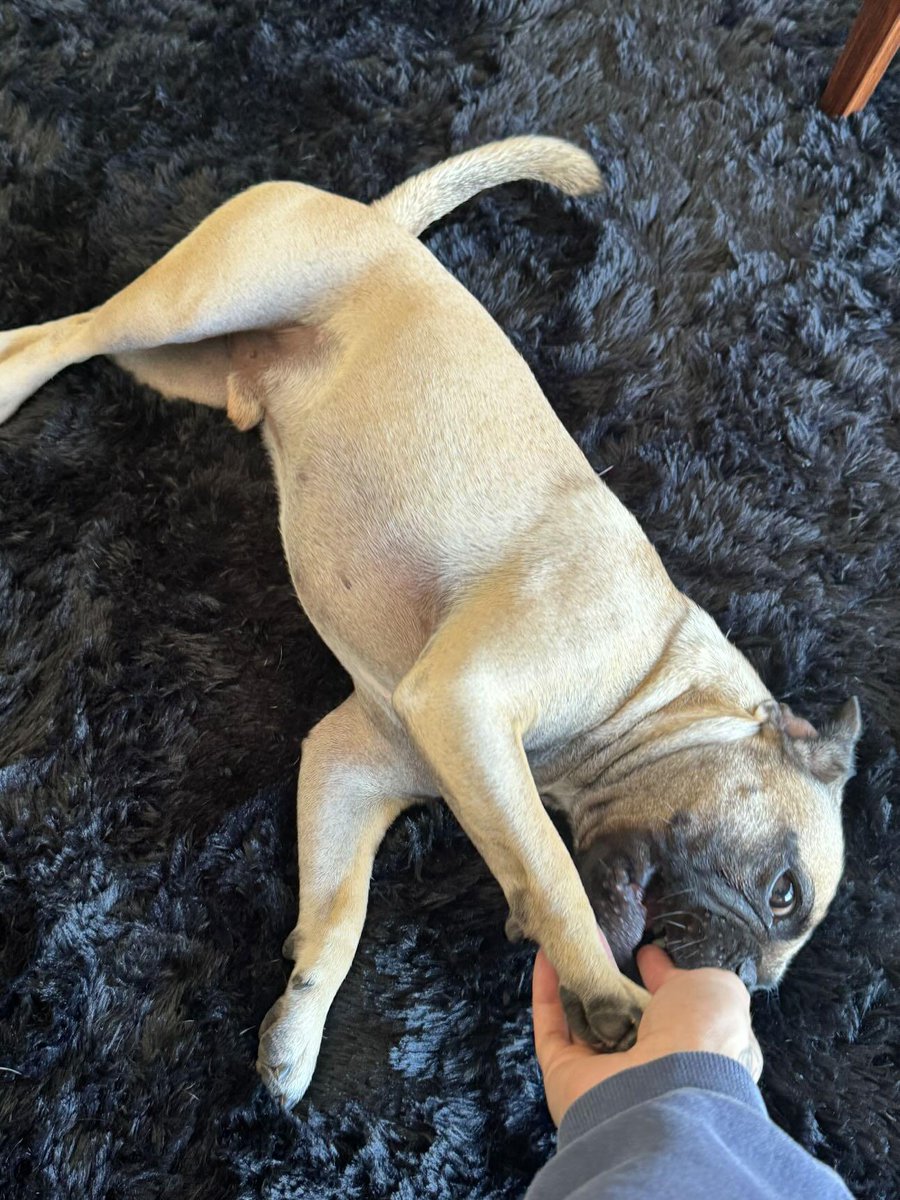 archivescry's tweet image. → Cry a través de su canal de difusión en instagram