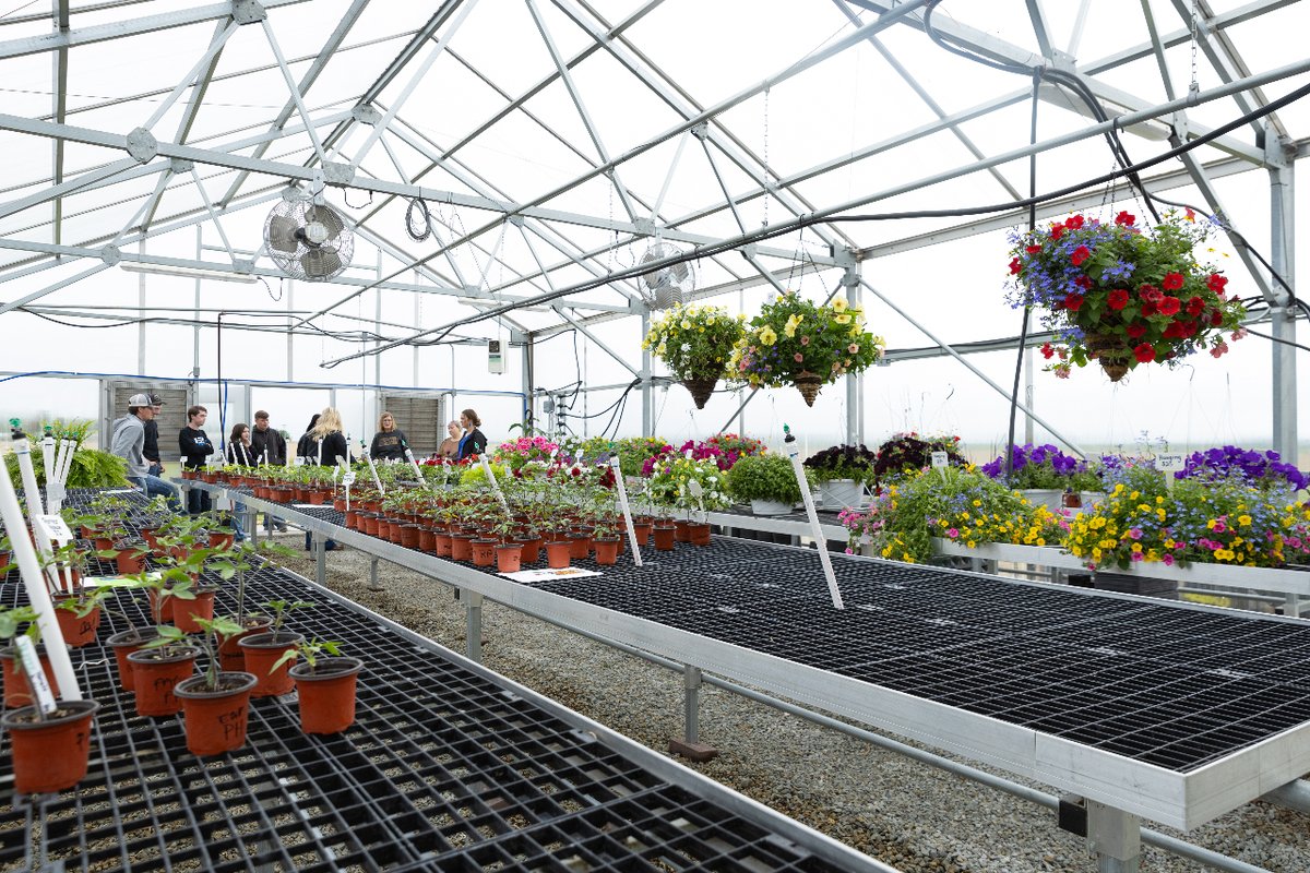 The NEO Agriculture department unveiled the new green house sign at their spring sale kickoff event. The NEO Green House at Synar Farms, constructed in 2021, is used for student research. At the sale, students and faculty sold flowers and vegetables grown inside the facility.