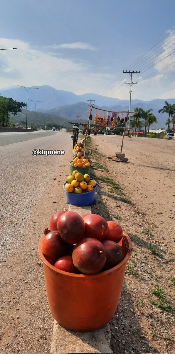 Quien quiere mangos o ciruelas de huesito?
Variante #Guacara #SanDiego #Carabobo #Venezuela #AventurasenBicicleta #biciturismo