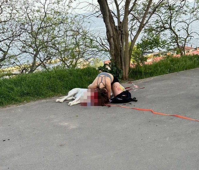 Today in my hometown of Odesa, four people were killed as a result of a russian attack, 32 people were injured, including two children and a pregnant woman. In the photo, a girl mourns her dog, who died from shrapnel. 💔💔💔